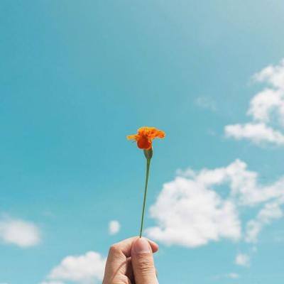 极速赛车游戏app下载